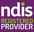 ndis-logo logo